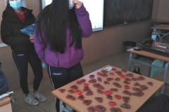 img-20201019-130243-resized-20201019-051255513