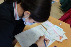 whatsapp-image-2021-11-25-at-19.08.48-3