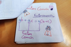 whatsapp-image-2021-11-25-at-19.08.49-7